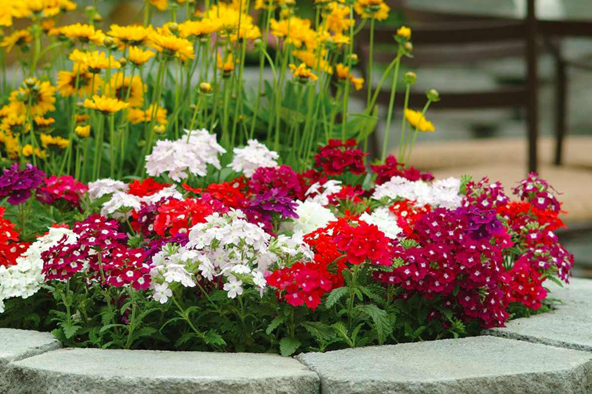 https://hectare.ua/upload/68fd4915be9ff.jpg https://hectare.ua/upload/68fd4915be9ff.jpg