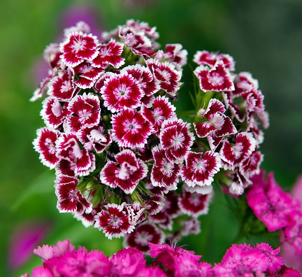 https://hectare.ua/upload/68fd491cd74c6.jpg https://hectare.ua/upload/68fd491cd74c6.jpg