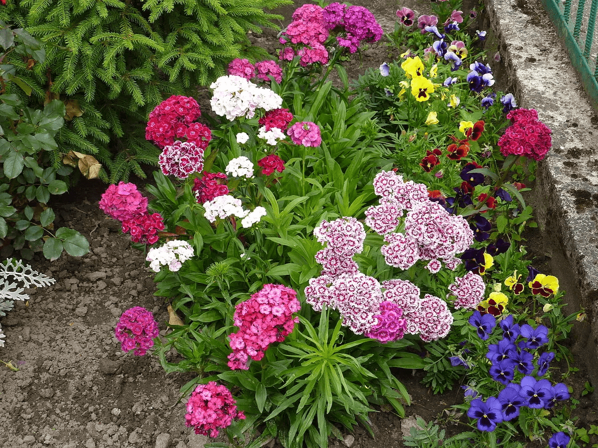 https://hectare.ua/upload/68fd491d61e7c.jpg https://hectare.ua/upload/68fd491d61e7c.jpg