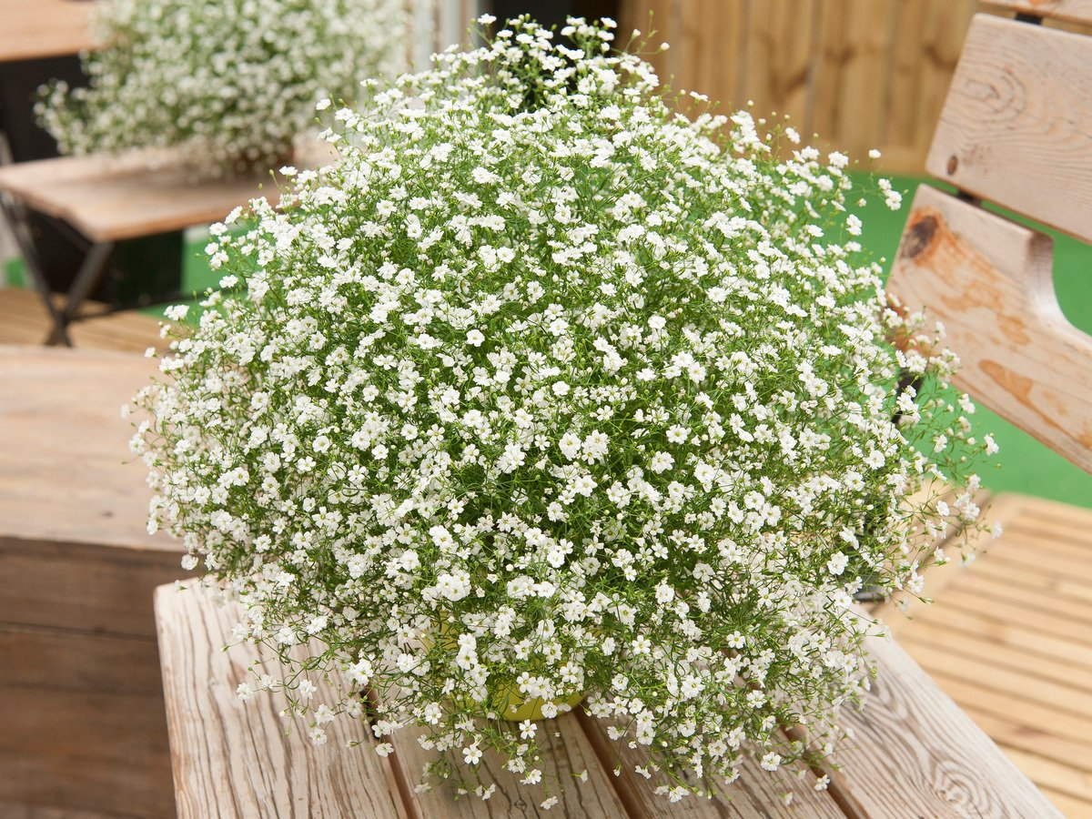 https://hectare.ua/upload/68fd4922e71aa.jpg https://hectare.ua/upload/68fd4922e71aa.jpg