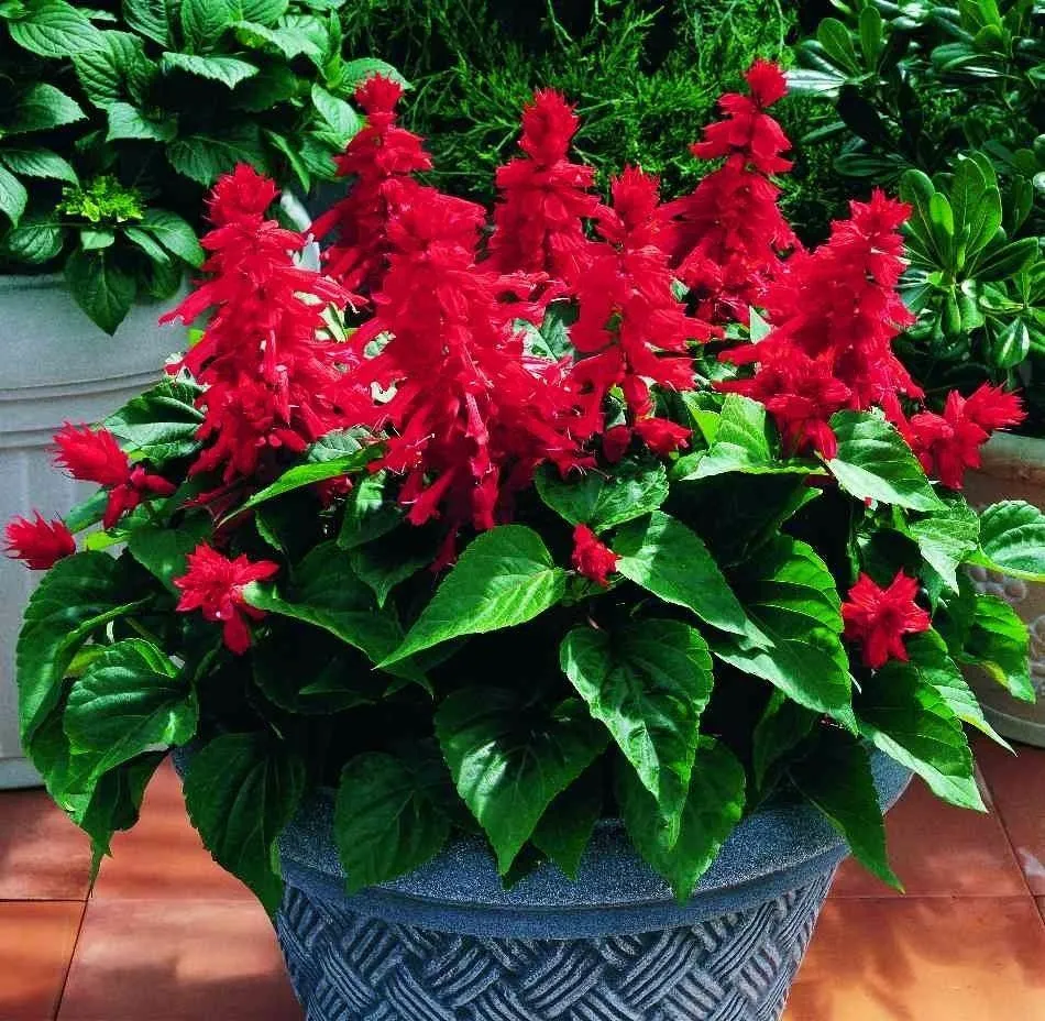 https://hectare.ua/upload/68fd494b6470d.jpg https://hectare.ua/upload/68fd494b6470d.jpg