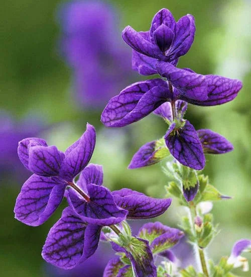 https://hectare.ua/upload/68fd494ca32d2.jpg https://hectare.ua/upload/68fd494ca32d2.jpg