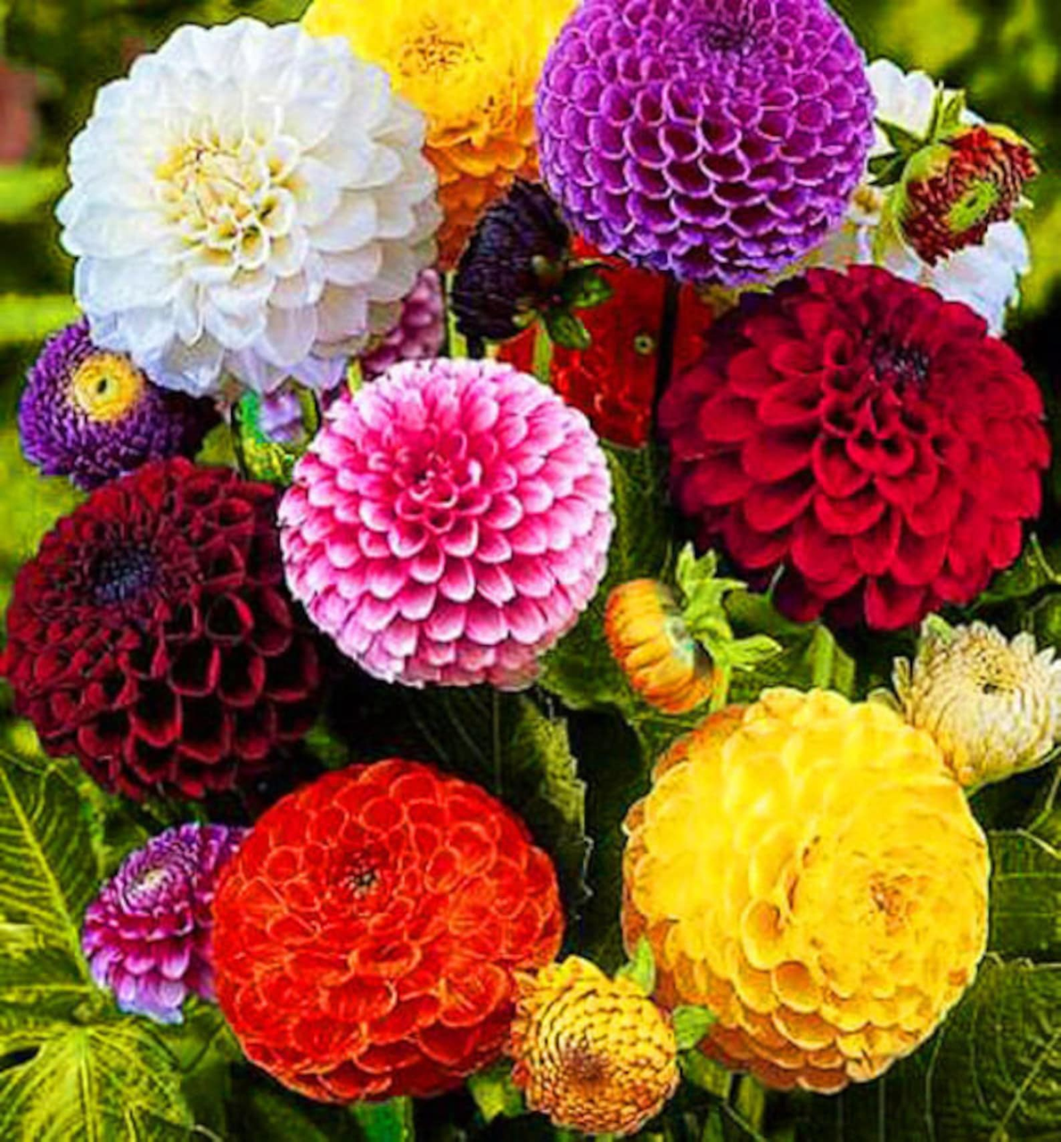 https://hectare.ua/upload/68fd494f1ecc6.jpg https://hectare.ua/upload/68fd494f1ecc6.jpg