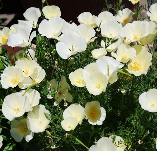 https://hectare.ua/upload/68fd494fee33c.jpg https://hectare.ua/upload/68fd494fee33c.jpg