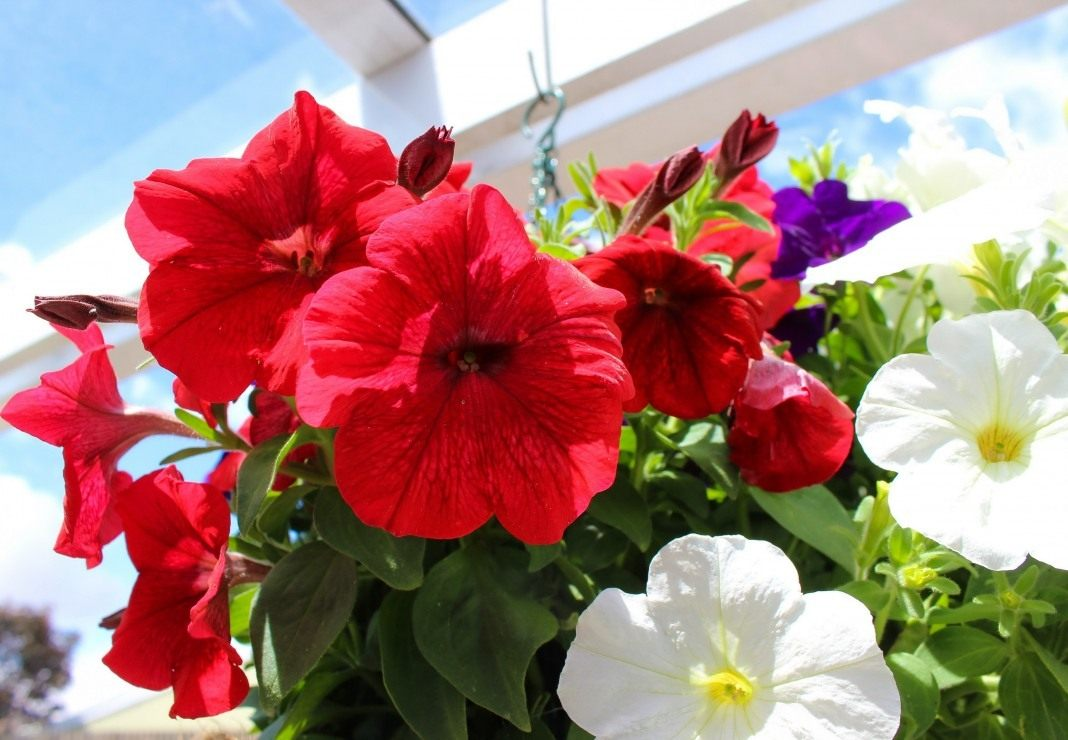 https://hectare.ua/upload/68fd4975077ca.jpg https://hectare.ua/upload/68fd4975077ca.jpg