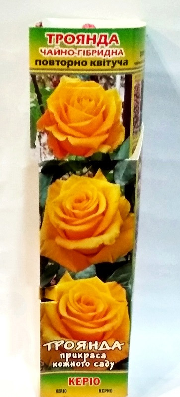 https://hectare.ua/upload/68fd4981673c8.jpg https://hectare.ua/upload/68fd4981673c8.jpg