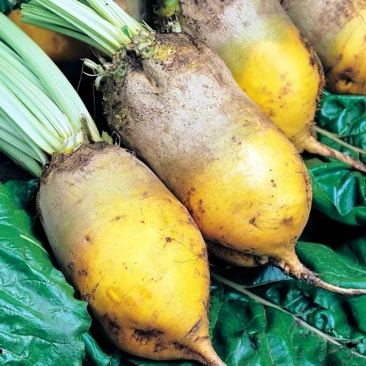https://hectare.ua/upload/68fd498e642ab.jpg https://hectare.ua/upload/68fd498e642ab.jpg