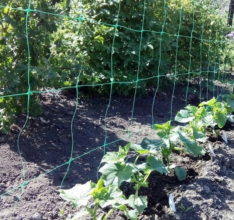 https://hectare.ua/upload/68fd49b9084d7.jpg https://hectare.ua/upload/68fd49b9084d7.jpg