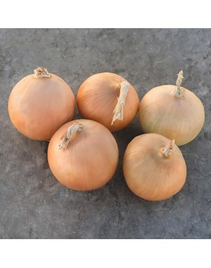 https://hectare.ua/upload/68fd4a1213a09.jpg https://hectare.ua/upload/68fd4a1213a09.jpg