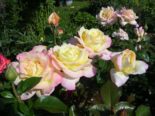 https://hectare.ua/upload/68fd4a2de9116.jpg https://hectare.ua/upload/68fd4a2de9116.jpg