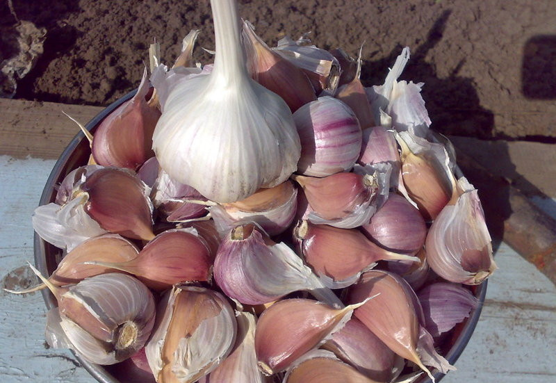 https://hectare.ua/upload/68fd4a33364bb.jpg https://hectare.ua/upload/68fd4a33364bb.jpg