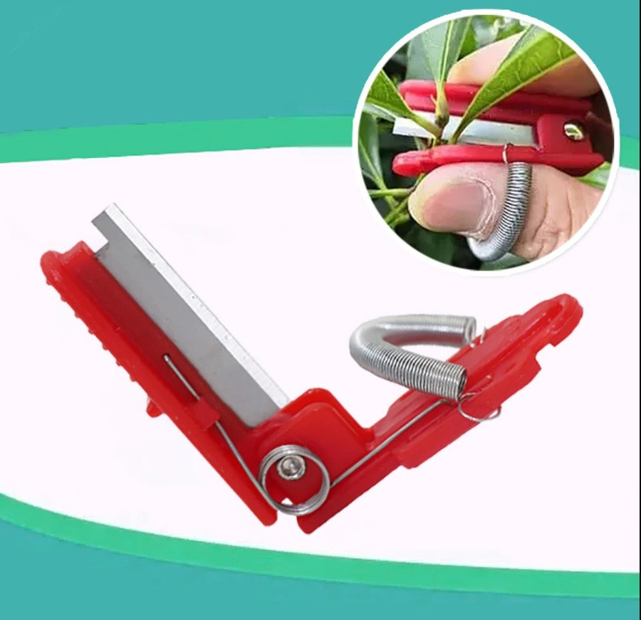 https://hectare.ua/upload/68fd4a88814a4.jpg https://hectare.ua/upload/68fd4a88814a4.jpg