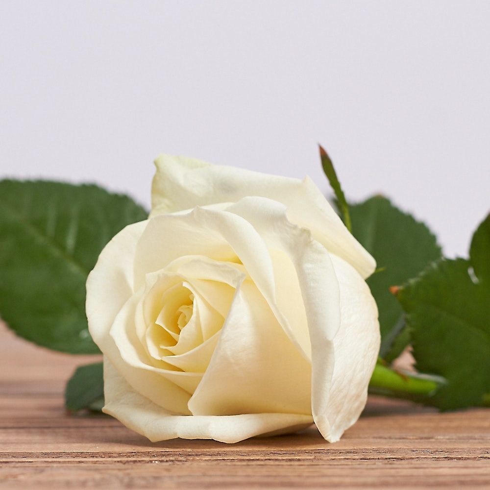 https://hectare.ua/upload/68fd4ade96c03.jpg https://hectare.ua/upload/68fd4ade96c03.jpg