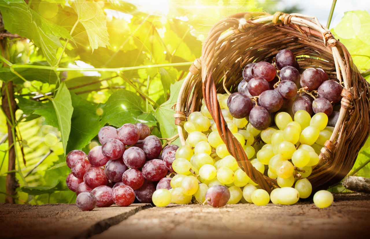 https://hectare.ua/upload/68fd4af238384.jpg https://hectare.ua/upload/68fd4af238384.jpg