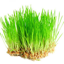 https://hectare.ua/upload/68fd4b0008aa8.jpg https://hectare.ua/upload/68fd4b0008aa8.jpg