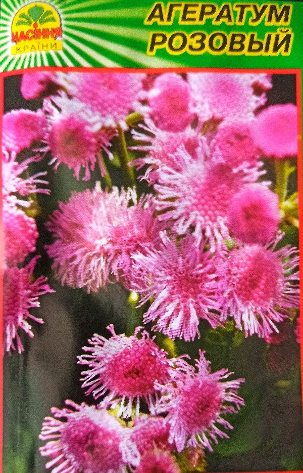 https://hectare.ua/upload/68fd4b039b9f6.jpg https://hectare.ua/upload/68fd4b039b9f6.jpg