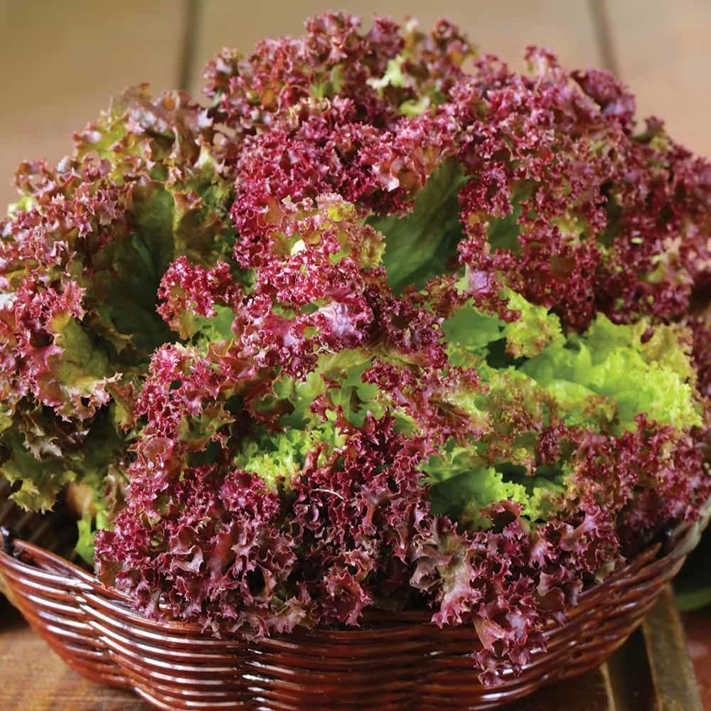 https://hectare.ua/upload/68fd4b045c364.jpg https://hectare.ua/upload/68fd4b045c364.jpg