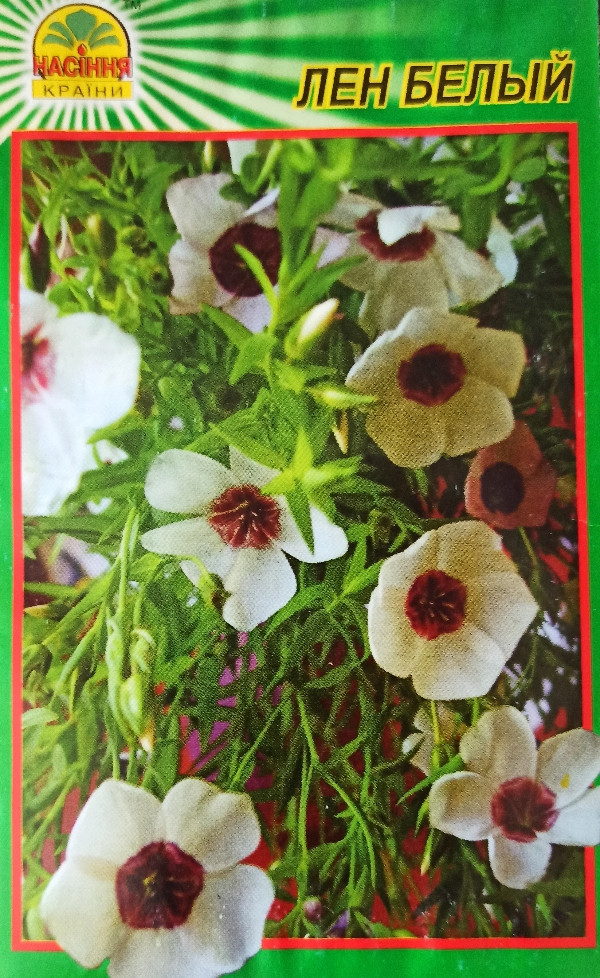 https://hectare.ua/upload/68fd4b0506ed2.jpg https://hectare.ua/upload/68fd4b0506ed2.jpg