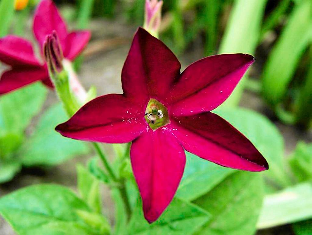 https://hectare.ua/upload/68fd4b0810fd6.jpg https://hectare.ua/upload/68fd4b0810fd6.jpg