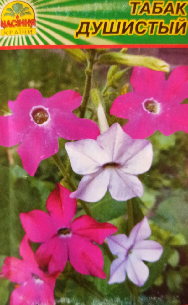https://hectare.ua/upload/68fd4b0882f40.jpg https://hectare.ua/upload/68fd4b0882f40.jpg