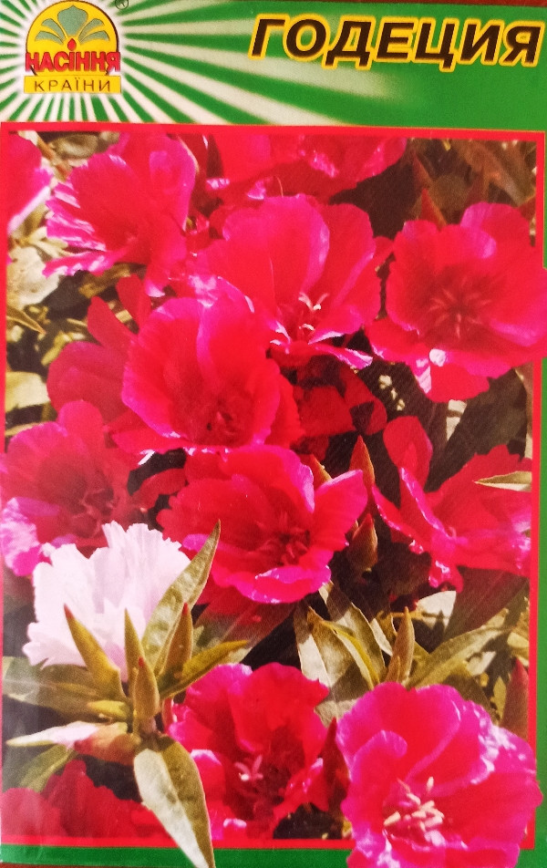 https://hectare.ua/upload/68fd4b0967803.jpg https://hectare.ua/upload/68fd4b0967803.jpg