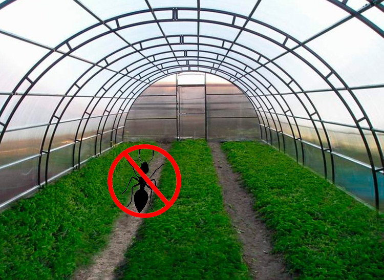 https://hectare.ua/upload/68fd4b14f1323.jpg https://hectare.ua/upload/68fd4b14f1323.jpg