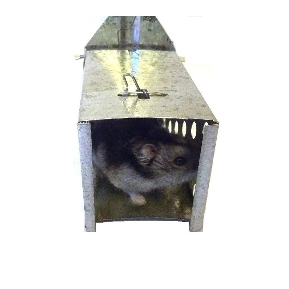 https://hectare.ua/upload/68fd4b182fff5.jpg https://hectare.ua/upload/68fd4b182fff5.jpg