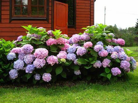 https://hectare.ua/upload/68fd4b1aabe38.jpg https://hectare.ua/upload/68fd4b1aabe38.jpg