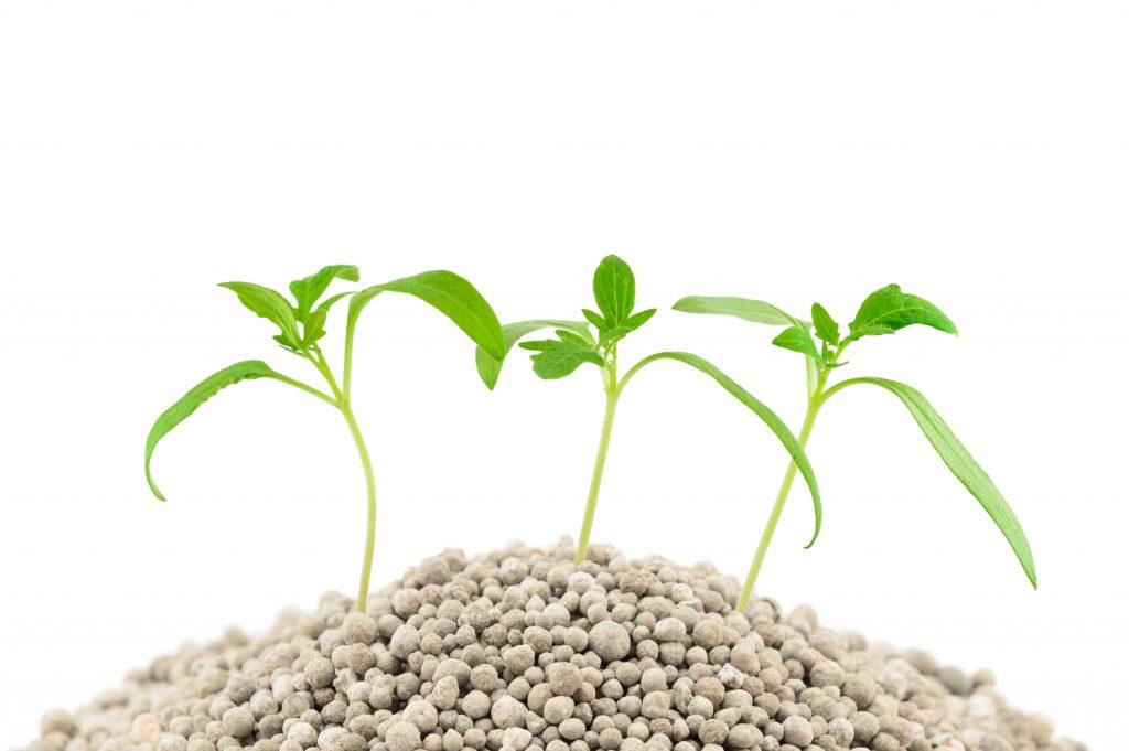 https://hectare.ua/upload/68fd4b1f65daf.jpg https://hectare.ua/upload/68fd4b1f65daf.jpg