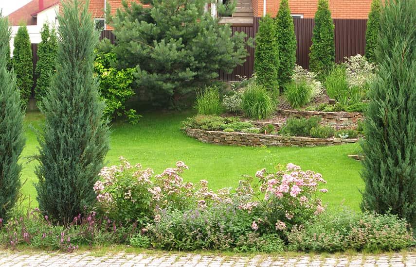 https://hectare.ua/upload/68fd4b2a29b2d.jpg https://hectare.ua/upload/68fd4b2a29b2d.jpg