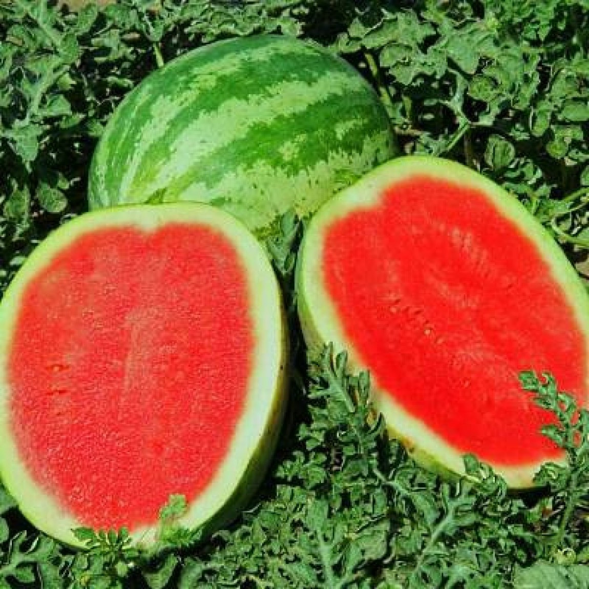 https://hectare.ua/upload/68fd4b2fec98d.jpg https://hectare.ua/upload/68fd4b2fec98d.jpg