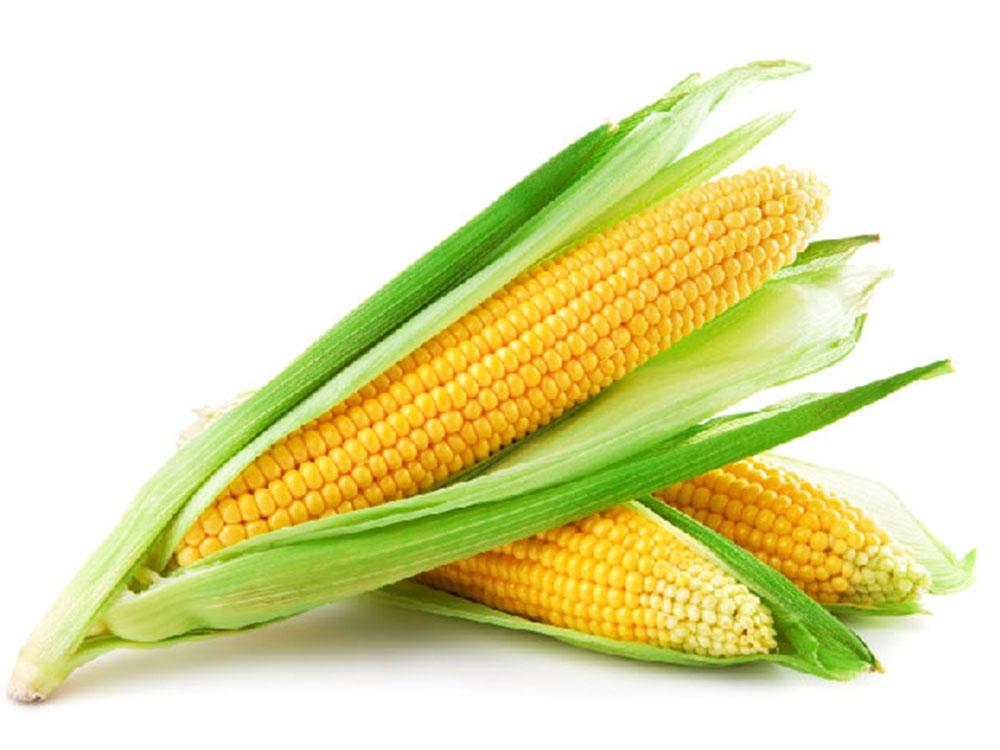 https://hectare.ua/upload/68fd4b369b2da.jpg https://hectare.ua/upload/68fd4b369b2da.jpg