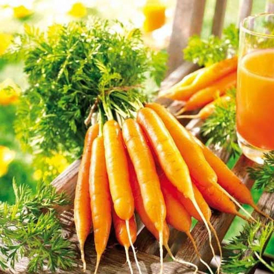 https://hectare.ua/upload/68fd4b39ade46.jpg https://hectare.ua/upload/68fd4b39ade46.jpg