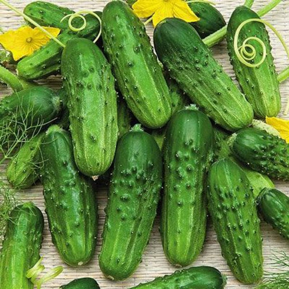 https://hectare.ua/upload/68fd4b404994f.jpg https://hectare.ua/upload/68fd4b404994f.jpg