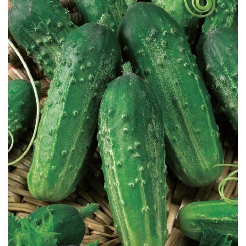 https://hectare.ua/upload/68fd4b41bea4b.jpg https://hectare.ua/upload/68fd4b41bea4b.jpg