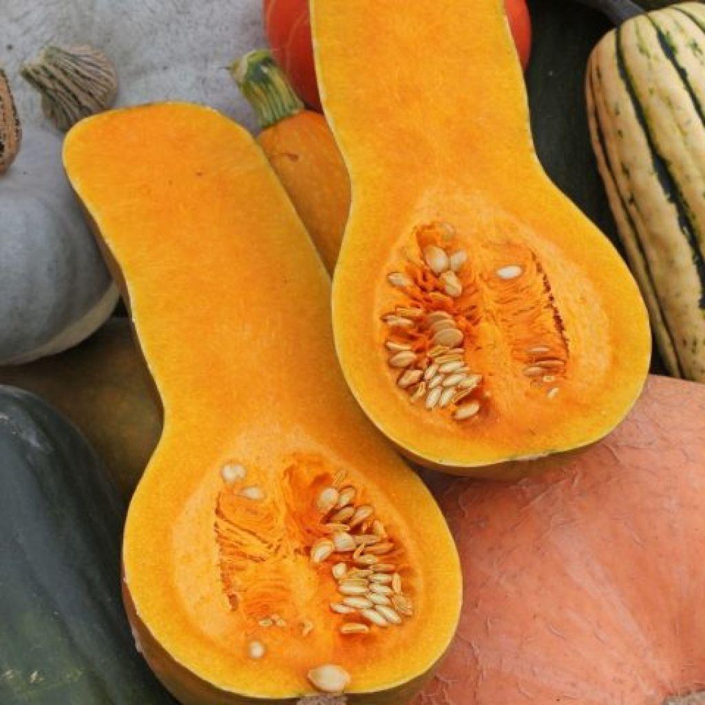 https://hectare.ua/upload/68fd4b4c651f3.jpg https://hectare.ua/upload/68fd4b4c651f3.jpg