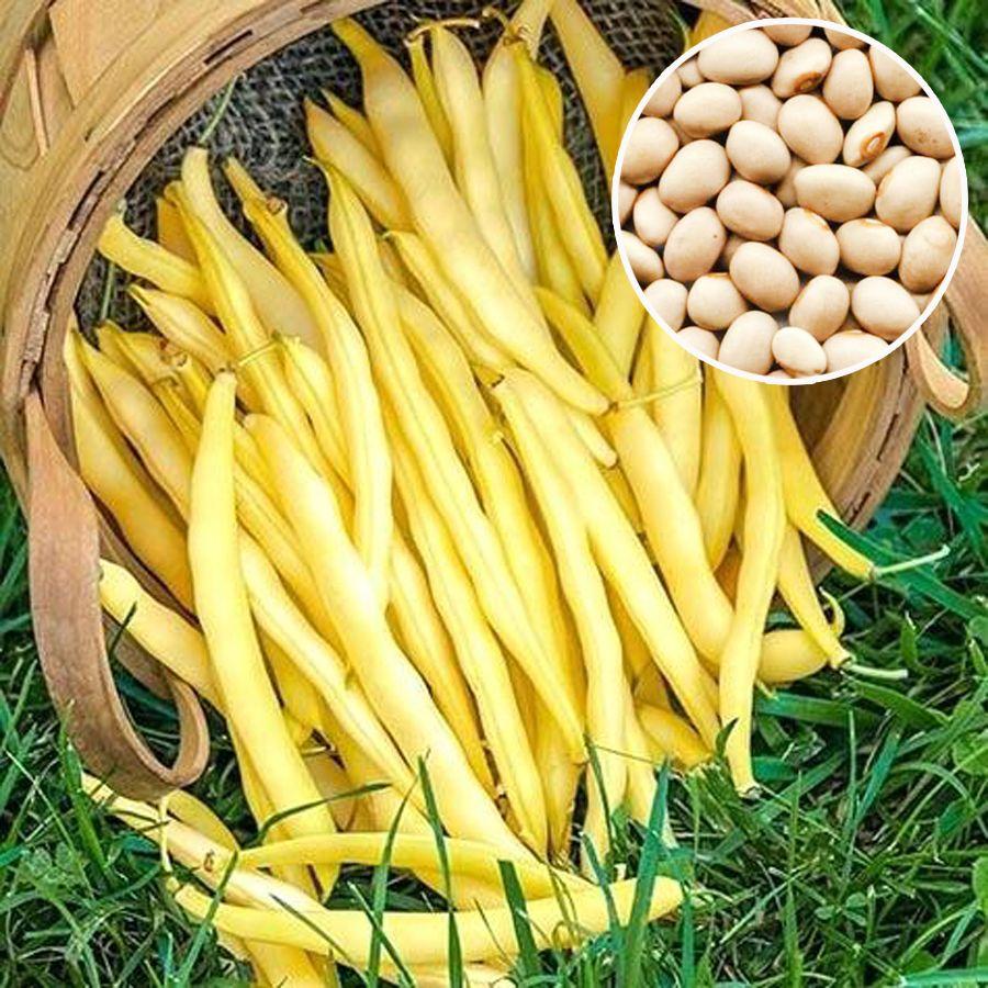 https://hectare.ua/upload/68fd4b509ba20.jpg https://hectare.ua/upload/68fd4b509ba20.jpg