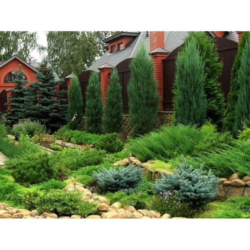 https://hectare.ua/upload/68fd4b5aa1a8c.jpg https://hectare.ua/upload/68fd4b5aa1a8c.jpg
