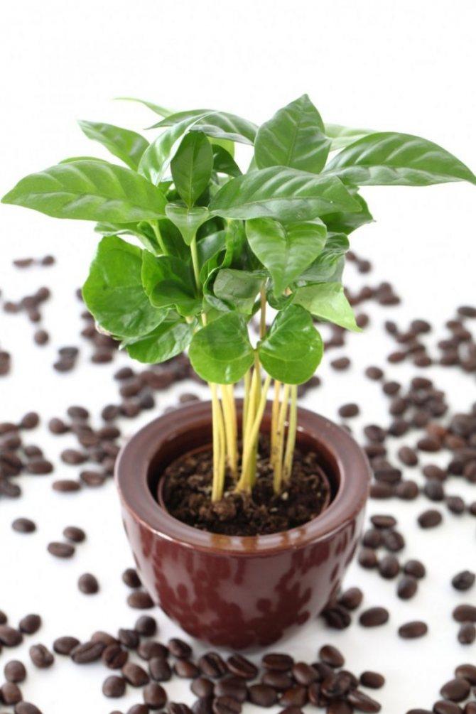 https://hectare.ua/upload/68fd4bdbcf57d.jpg https://hectare.ua/upload/68fd4bdbcf57d.jpg