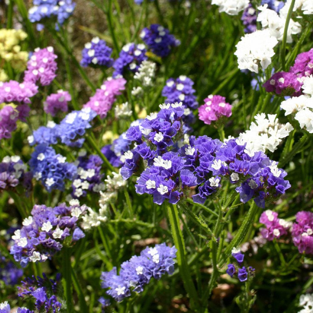 https://hectare.ua/upload/68fd4be46f854.jpg https://hectare.ua/upload/68fd4be46f854.jpg