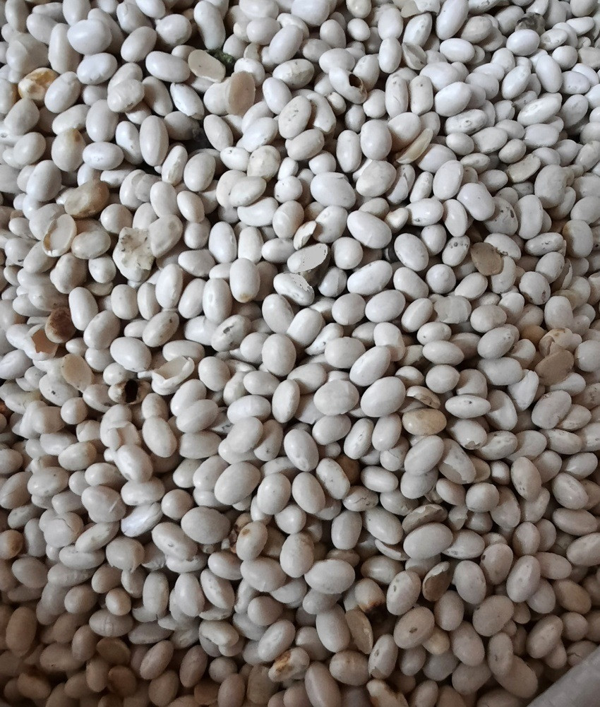 https://hectare.ua/upload/68fd4bf43145a.jpg https://hectare.ua/upload/68fd4bf43145a.jpg