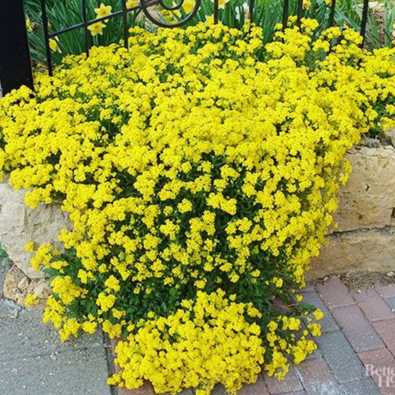 https://hectare.ua/upload/68fd4bf8142c0.jpg https://hectare.ua/upload/68fd4bf8142c0.jpg