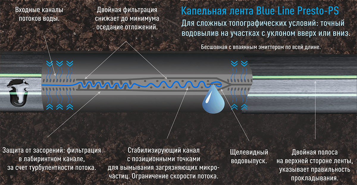 https://hectare.ua/upload/68fd4c41d044c.png https://hectare.ua/upload/68fd4c41d044c.png