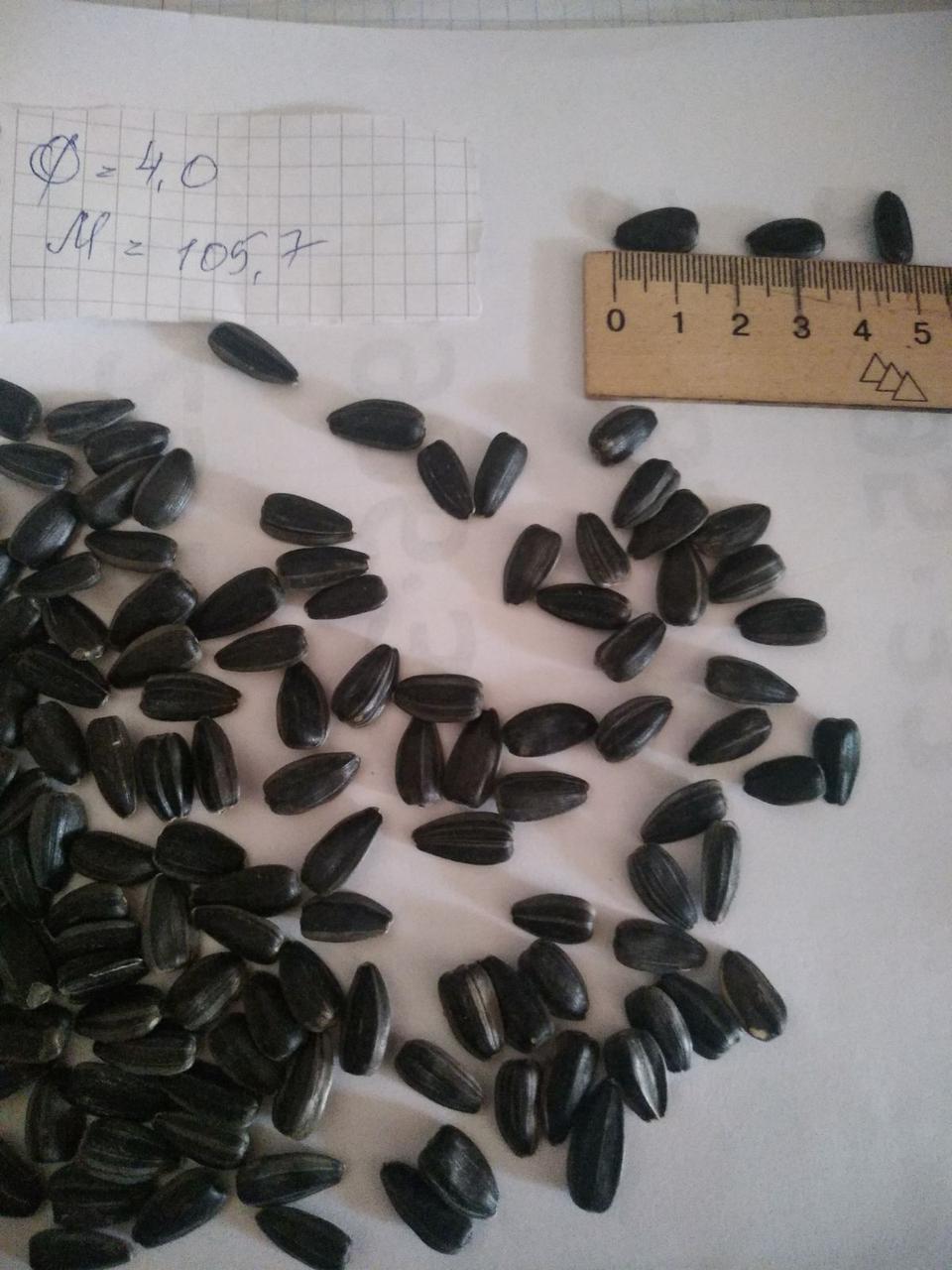 https://hectare.ua/upload/68fead83e02b7.jpg https://hectare.ua/upload/68fead83e02b7.jpg