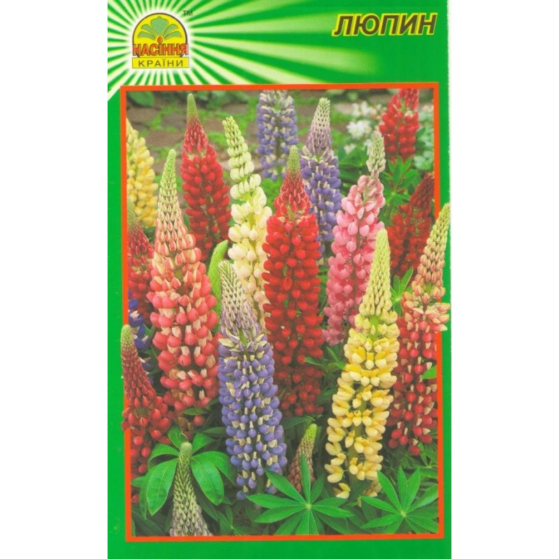 Семена Люпин 0,3 г (Насіння країни) Семена Люпин 0,3 г (Насіння країни)