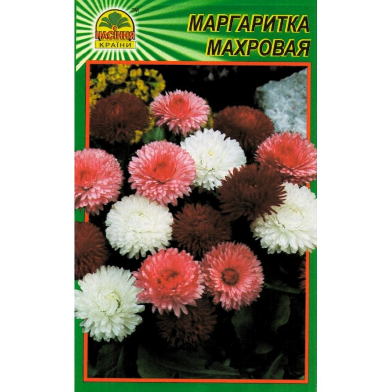 Семена Маргаритка махровая 100 шт. (Насіння країни) Семена Маргаритка махровая 100 шт. (Насіння країни)