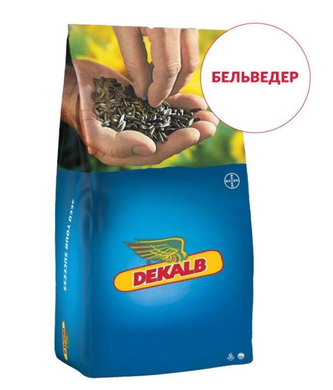 Семена подсолнуха Бельведер Семена подсолнуха Бельведер