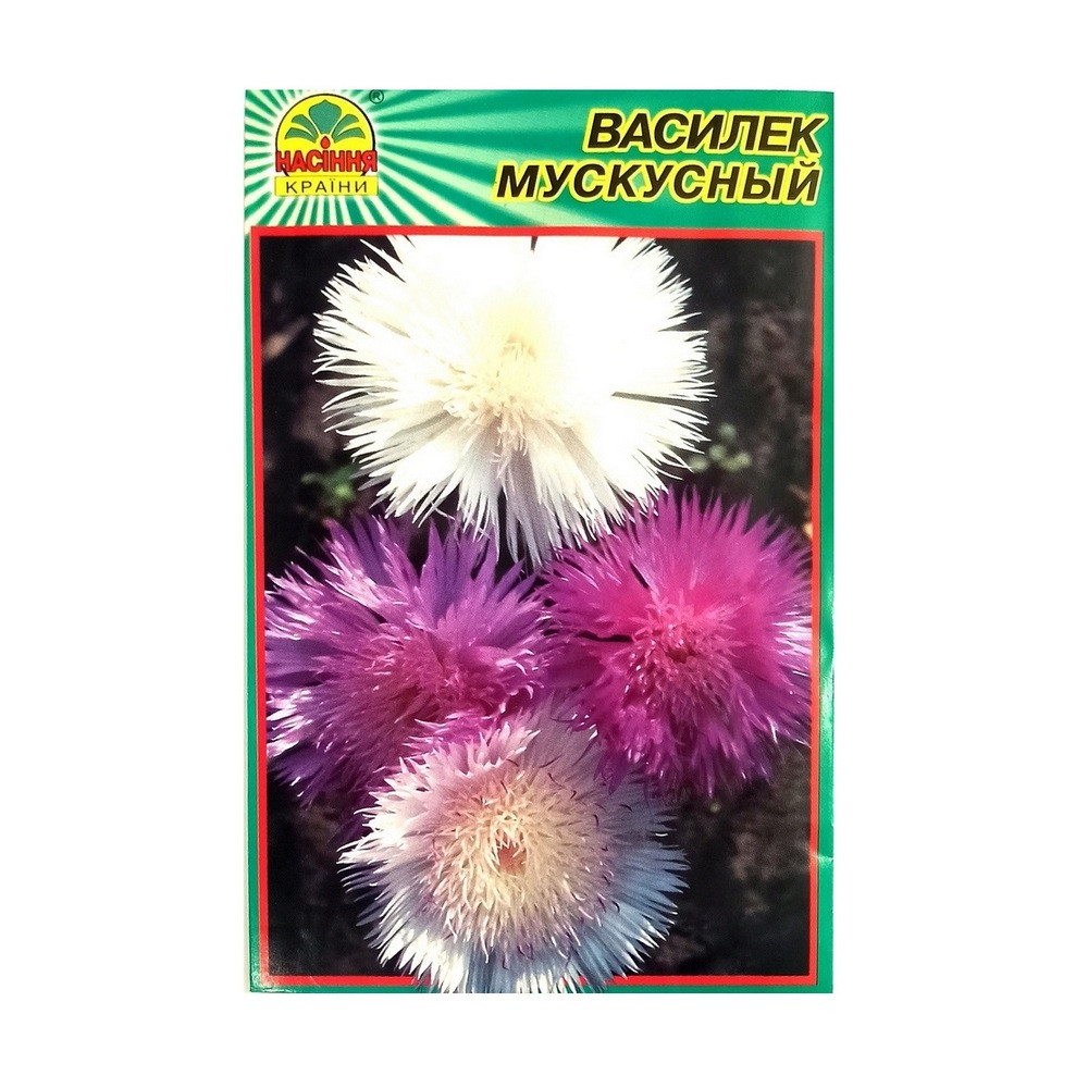 Семена Василек мускусный 0,5 г (Насіння країни) Семена Василек мускусный 0,5 г (Насіння країни)