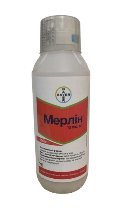 Мерлин Мерлин