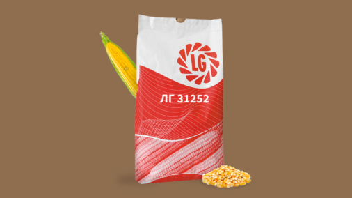 Насіння кукурудзи ЛГ 31252 Насіння кукурудзи ЛГ 31252